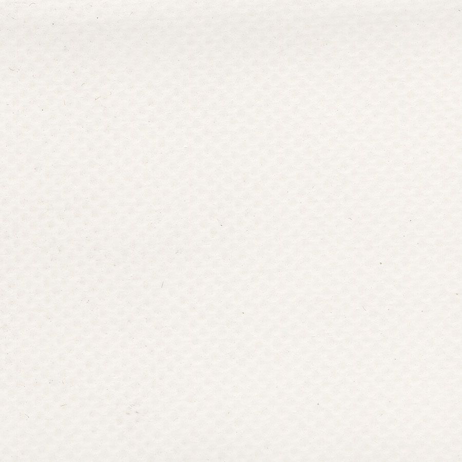Sample of AbbeyShea Mercury 6 White 61 - Inch Tarp and Awning Fabric