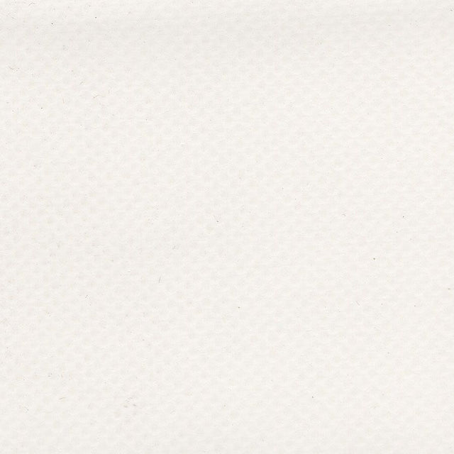 Sample of AbbeyShea Mercury 6 White 61 - Inch Tarp and Awning Fabric