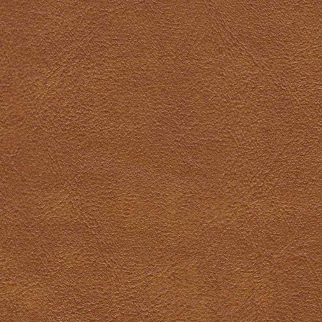 Sample of AbbeyShea Midship 84 Rust Marine Upholstery Fabric