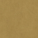 Sample of AbbeyShea Midship 8884 Rawhide Marine Upholstery Fabric