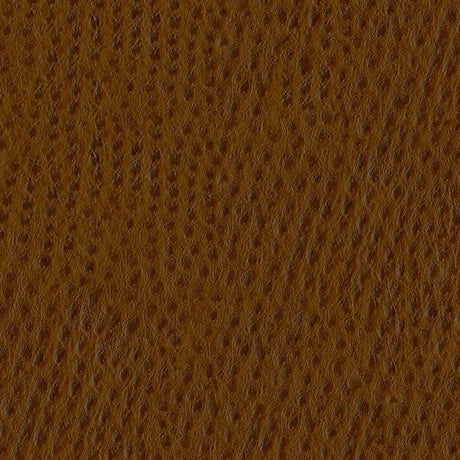AbbeyShea Phoenix 010 Outback Faux Leather Upholstery Fabric