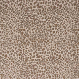 Sample of Bella Dura Animal Magnetism Umber Home Collection Upholstery Fabric
