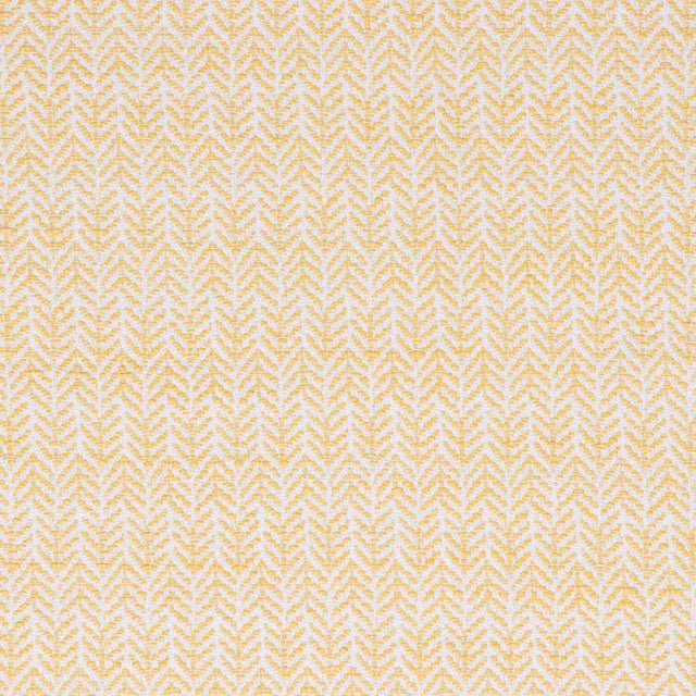 Sample of Bella Dura Festoon Lemon Home Collection Upholstery Fabric