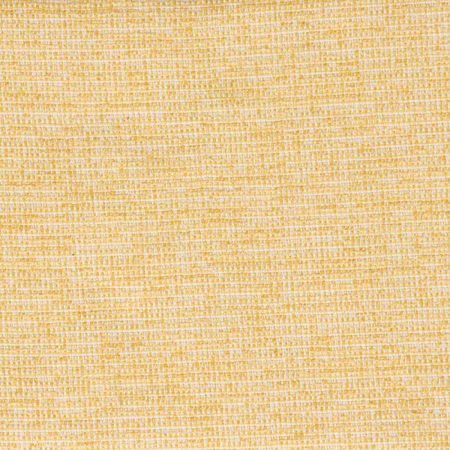 Sample of Bella Dura Folksy Lemon Home Collection Upholstery Fabric