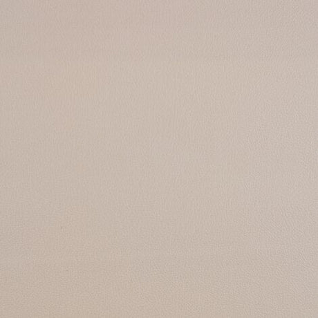 Sample of Causeway Pearl Foam Back Marine Upholstery Fabric