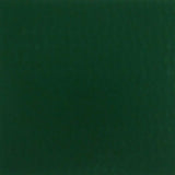 Sample of Cooley - Brite Forest Green 4048 78 Inch Awning Fabric