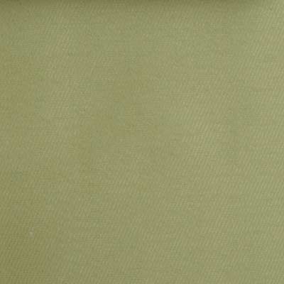 Duralee Celery 15506-533 Pavilion V Bella-Dura Indoor/Outdoor Wovens Upholstery Fabric