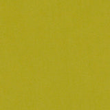 Duralee Chartreuse DV16467-25 Pavilion Inside Out Upholstery Fabric