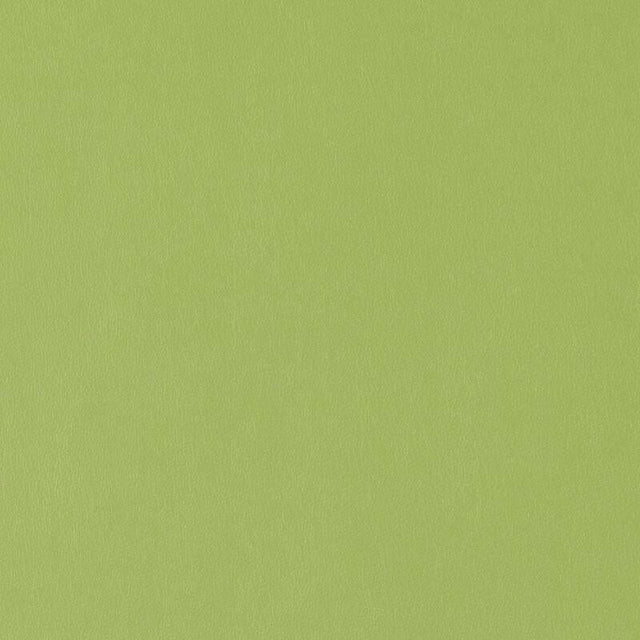 Duralee DF15775-212 Apple Green Indoor Upholstery Fabric