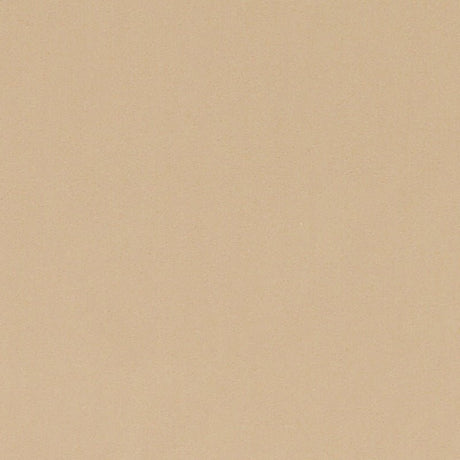 Duralee Jute DV16467-434 Pavilion Inside Out Upholstery Fabric