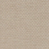 Duralee Jute DW16433-434 Pavilion Inside Out Upholstery Fabric