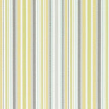 Duralee Multi 15717-215 Pavilion VI Bella-Dura Indoor/Outdoor Wovens Collection Upholstery Fabric