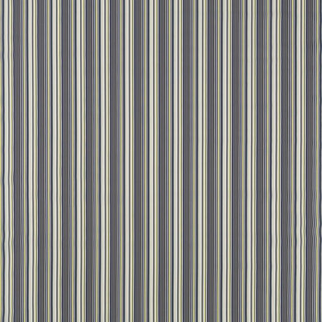 Duralee Multi DW16300-215 Pavilion Indoor/Outdoor Portico Stripes and Solids Collection Upholstery Fabric