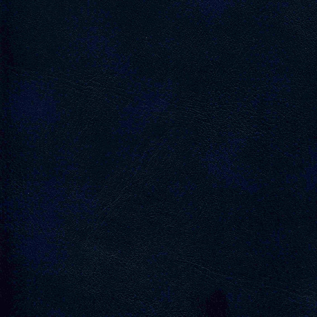 Sample of Enduratex Corinthian Charcoal Blue 0103 Upholstery Fabric