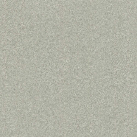 Sample of Enduratex Independence Alabaster 8603 Upholstery Fabric