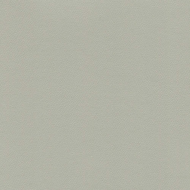 Sample of Enduratex Independence Alabaster 8603 Upholstery Fabric