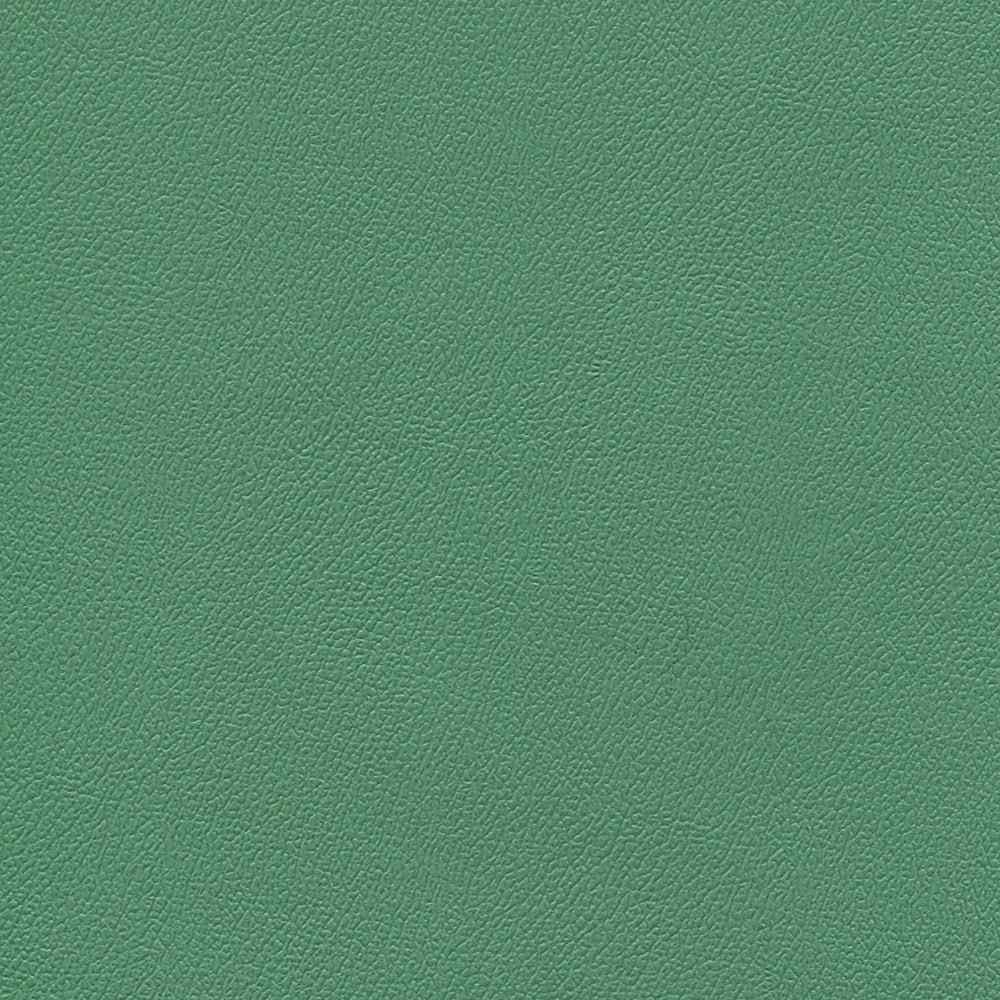 Sample of Enduratex Independence Amuse-Mint 8750 Upholstery Fabric