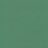 Sample of Enduratex Independence Amuse-Mint 8750 Upholstery Fabric