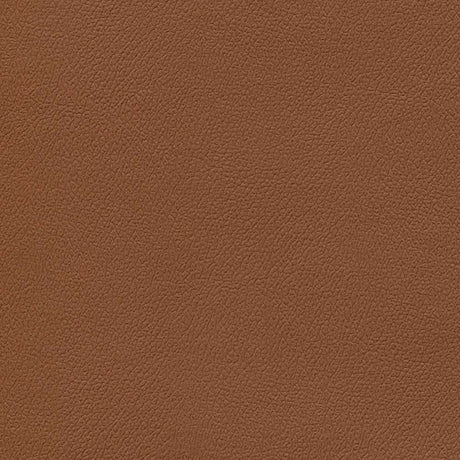 Sample of Enduratex Independence Barn Owl 8753 Upholstery Fabric
