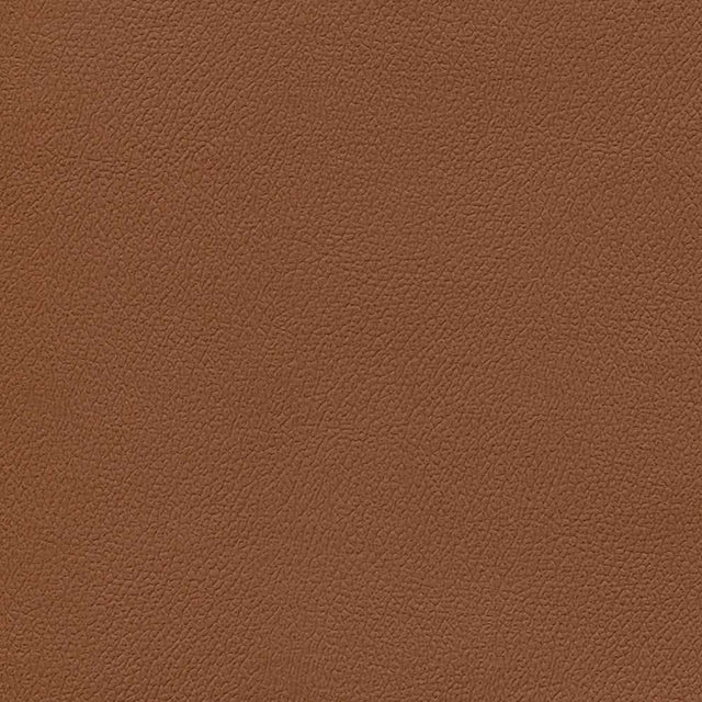Sample of Enduratex Independence Barn Owl 8753 Upholstery Fabric