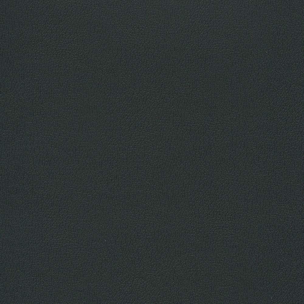 Sample of Enduratex Independence Black 8540 Upholstery Fabric