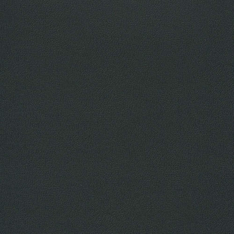 Sample of Enduratex Independence Black 8540 Upholstery Fabric