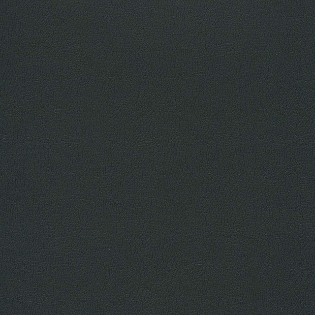Sample of Enduratex Independence Black 8540 Upholstery Fabric