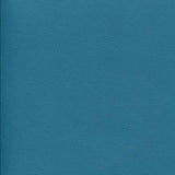 Sample of Enduratex Independence Cabana Boy 8758 Upholstery Fabric