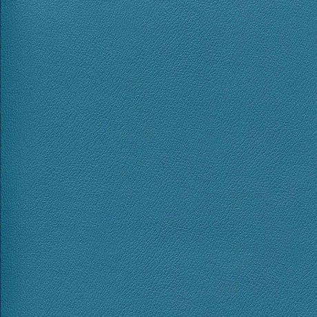 Sample of Enduratex Independence Cabana Boy 8758 Upholstery Fabric