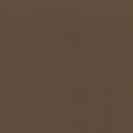 Sample of Enduratex Independence Chestnut 8516 Upholstery Fabric