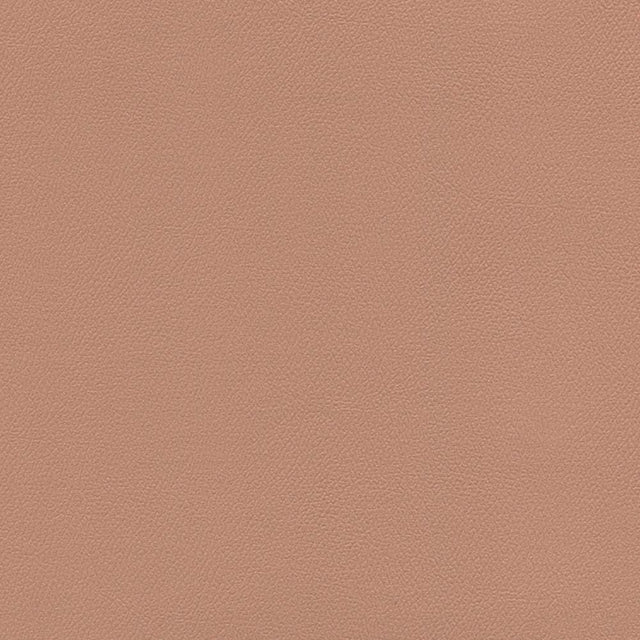 Sample of Enduratex Independence Clay 8609 Upholstery Fabric