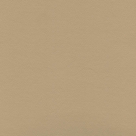 Sample of Enduratex Independence Coffee Cream 8414 Upholstery Fabric