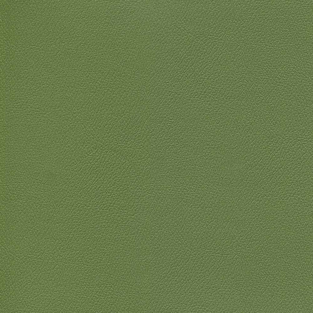 Sample of Enduratex Independence Dusty Olive 8764 Upholstery Fabric
