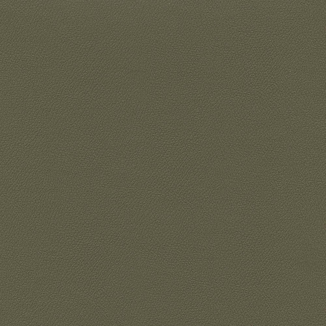 Sample of Enduratex Independence Eucalytpus 8638 Upholstery Fabric