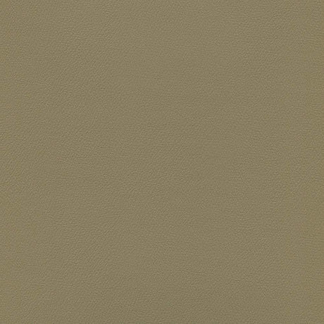 Sample of Enduratex Independence French Brown 8617 Upholstery Fabric