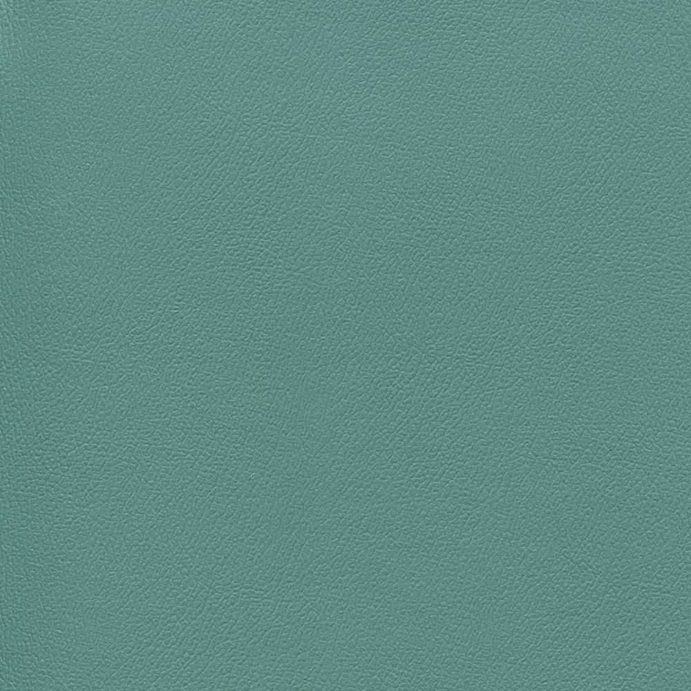 Sample of Enduratex Independence Frog Prince 8767 Upholstery Fabric