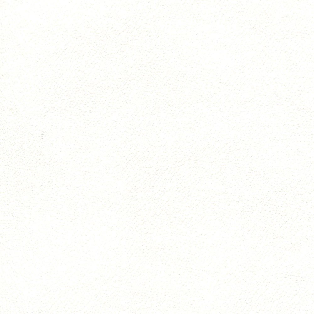Sample of Enduratex Independence Snow White 8413 Upholstery Fabric