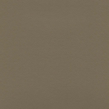 Sample of Enduratex Independence Taupe 8584 Upholstery Fabric
