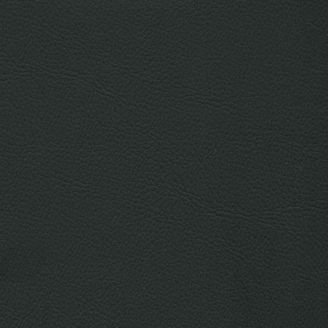 Sample of Enduratex Mercedes Anthracite 7315 Upholstery Fabric