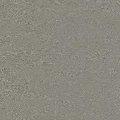 Sample of Enduratex Sierra Leathermate Light Grey 6611 Upholstery Fabric