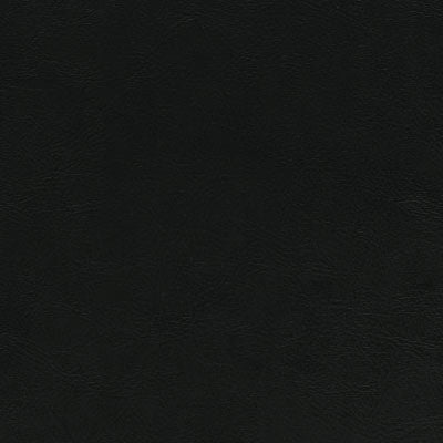 Sample of Enduratex Sierra Montana Black 958 Upholstery Fabric