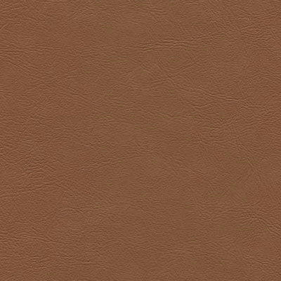 Sample of Enduratex Sierra Montana Cognac 6262 Upholstery Fabric