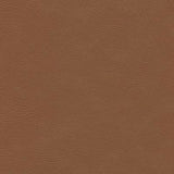Sample of Enduratex Sierra Montana Cognac 6262 Upholstery Fabric