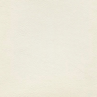 Sample of Enduratex Sierra Montana White 3718 Upholstery Fabric