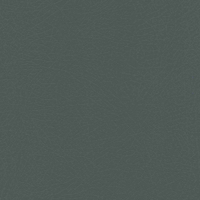 Sample of Enduratex Vaquero Hematite 1020 Upholstery Fabric