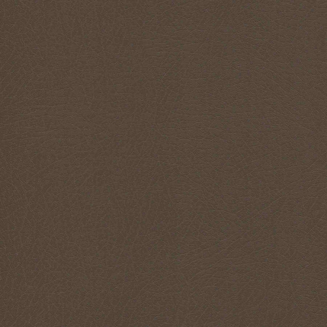 Sample of Enduratex Vaquero Jasper 1024 Upholstery Fabric