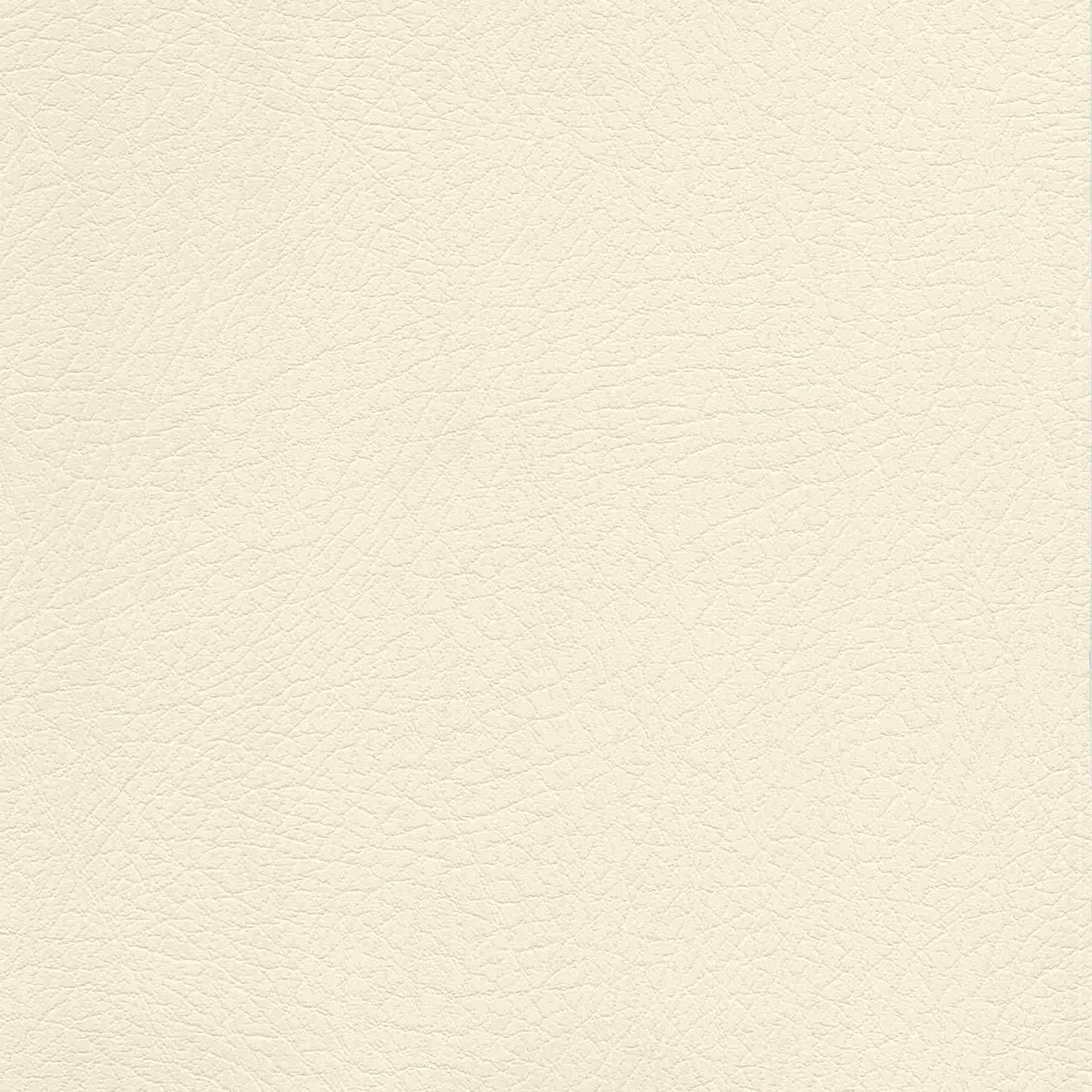 Sample of Enduratex Vaquero Lariat 1028 Upholstery Fabric