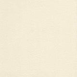 Sample of Enduratex Vaquero Lariat 1028 Upholstery Fabric