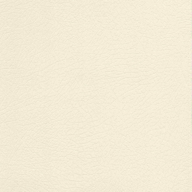 Sample of Enduratex Vaquero Lariat 1028 Upholstery Fabric