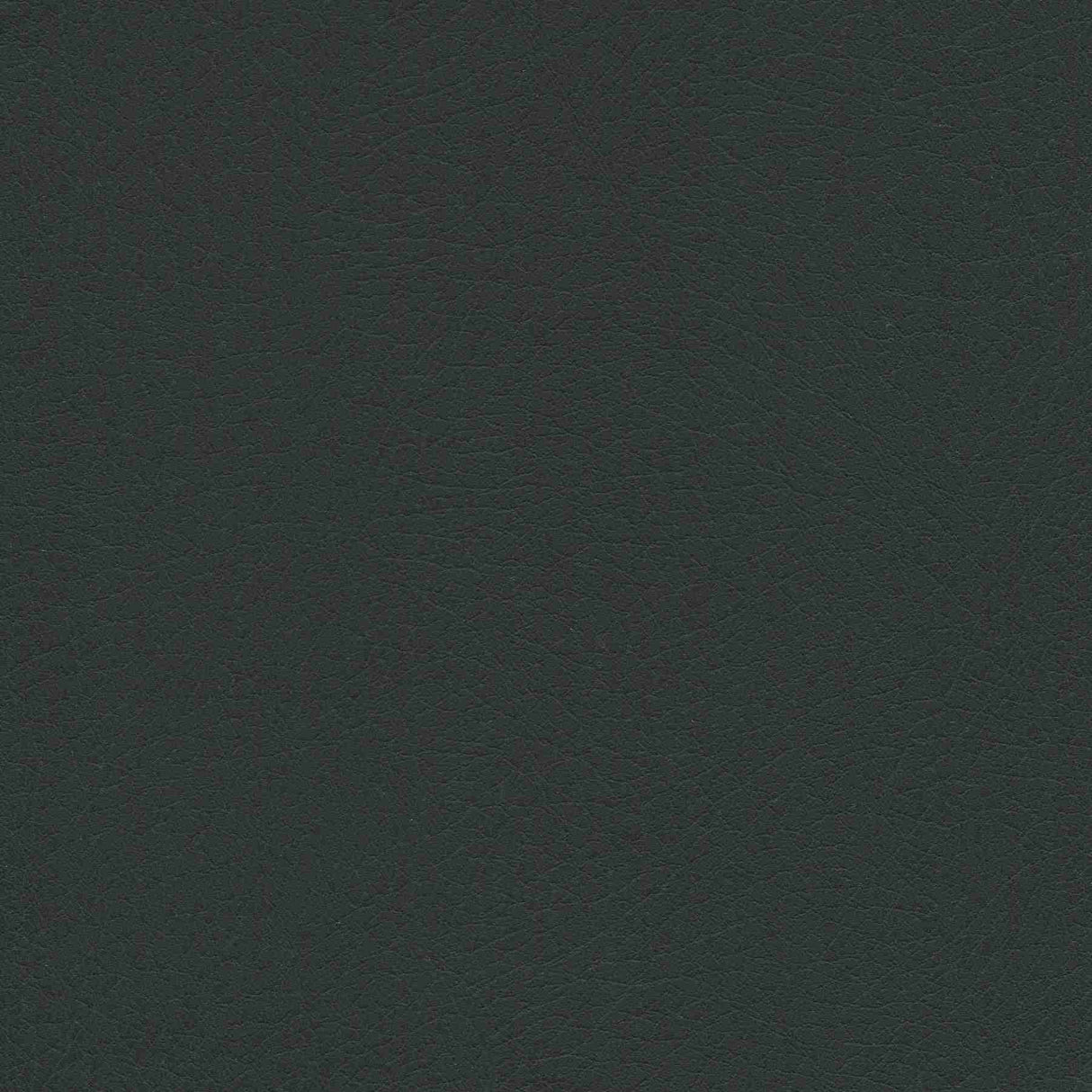 Sample of Enduratex Vaquero Night Rider 1036 Upholstery Fabric